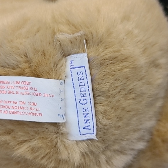 Vintage Anne Geddes collectible Teddy Bear - Picture 2 of 4